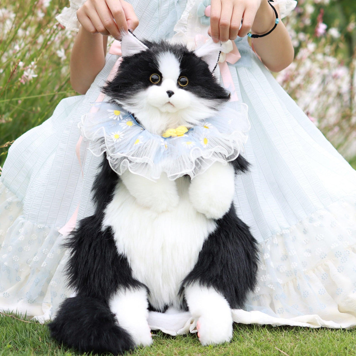 Ragdoll Cat Backpack