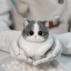 White Chubby Cat