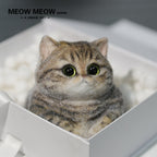 Chubby Yellow-Green Raccoon Cat
