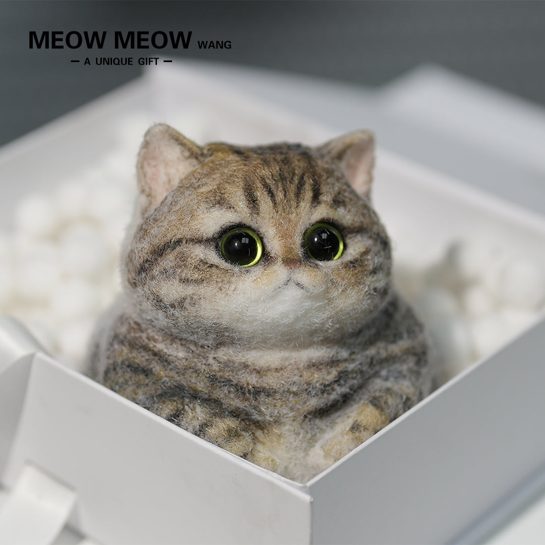 Chubby Yellow-Green Raccoon Cat