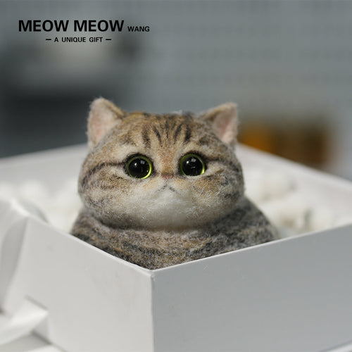 Chubby Yellow-Green Raccoon Cat