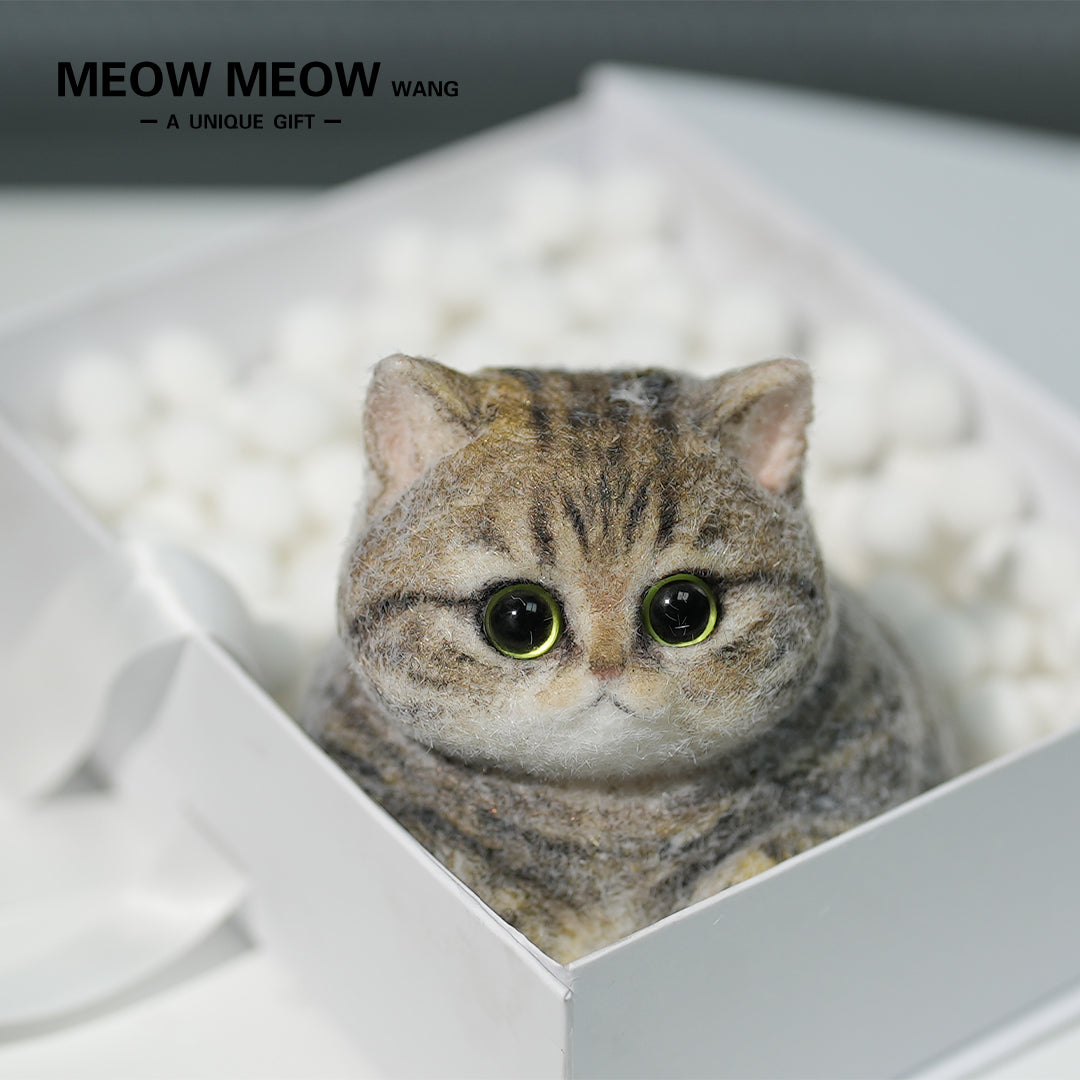 Chubby Yellow-Green Raccoon Cat