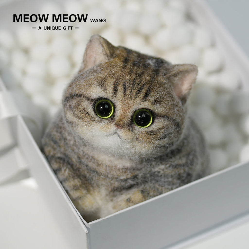 Chubby Yellow-Green Raccoon Cat