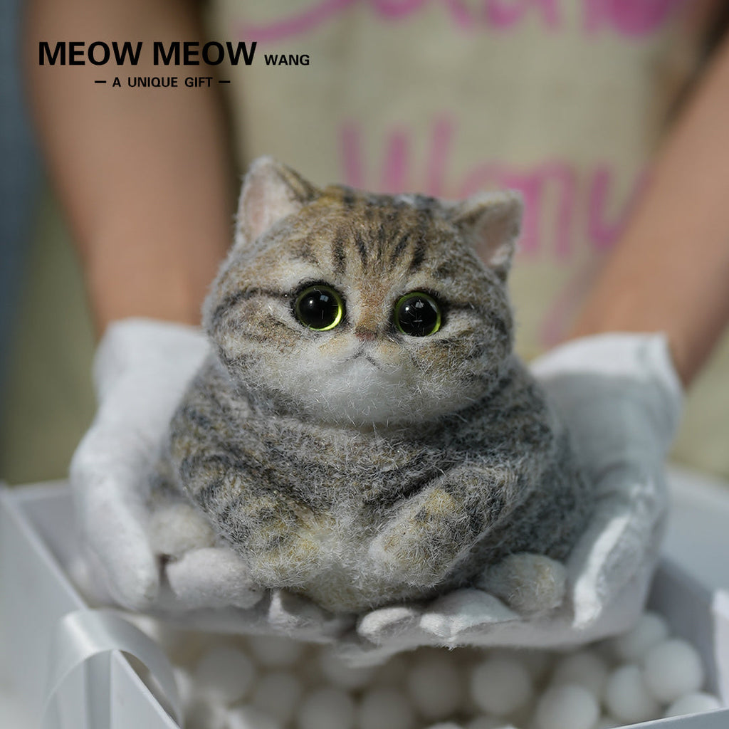 Chubby Yellow-Green Raccoon Cat