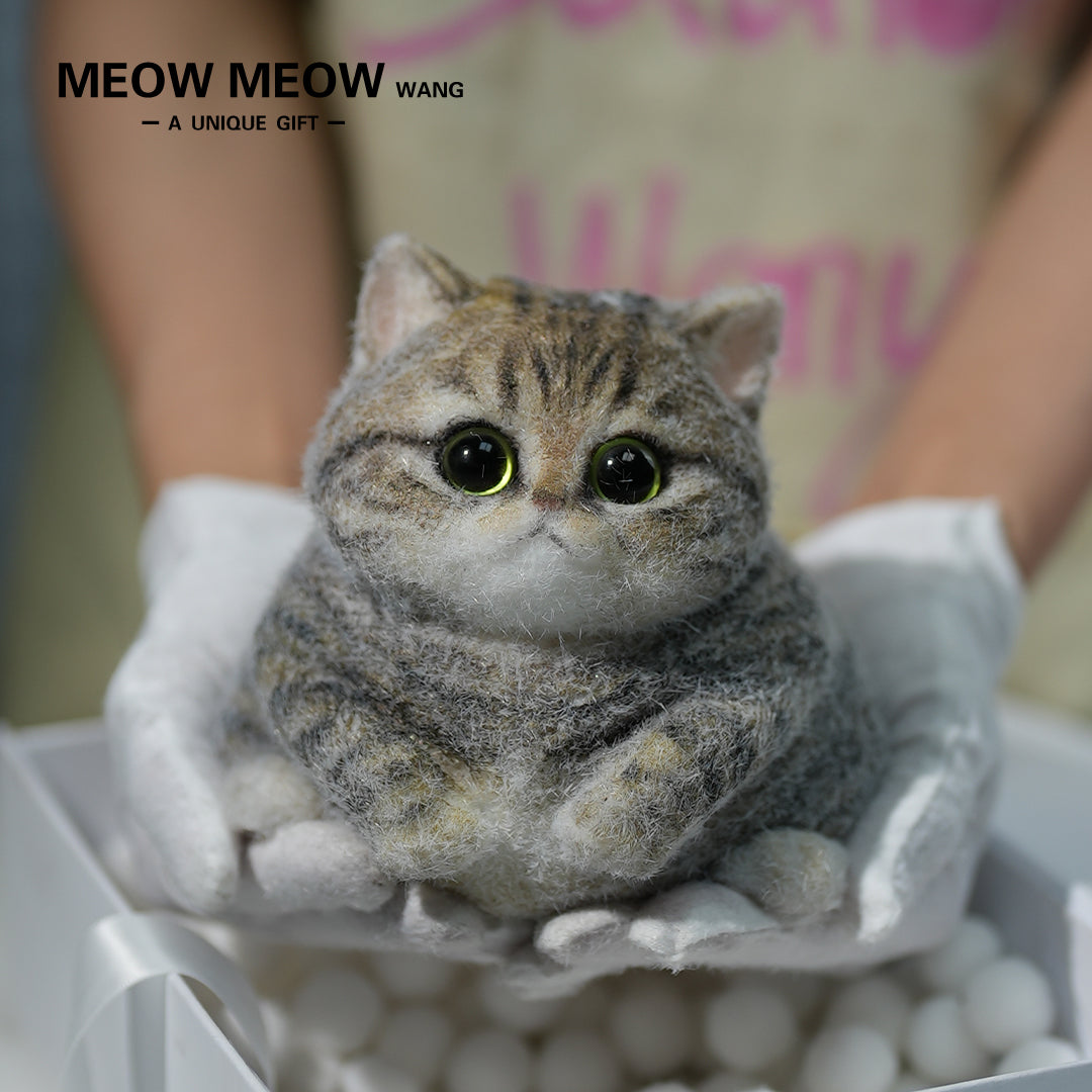Chubby Yellow-Green Raccoon Cat