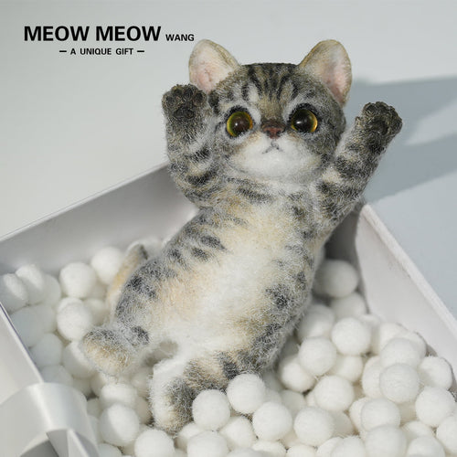 :Handsome Yellow-Green Eyed Cat