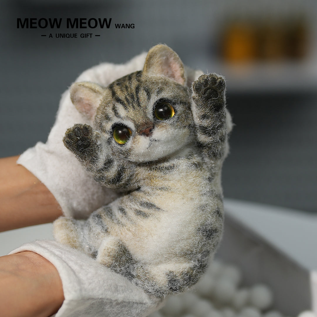 :Handsome Yellow-Green Eyed Cat