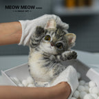 :Handsome Yellow-Green Eyed Cat