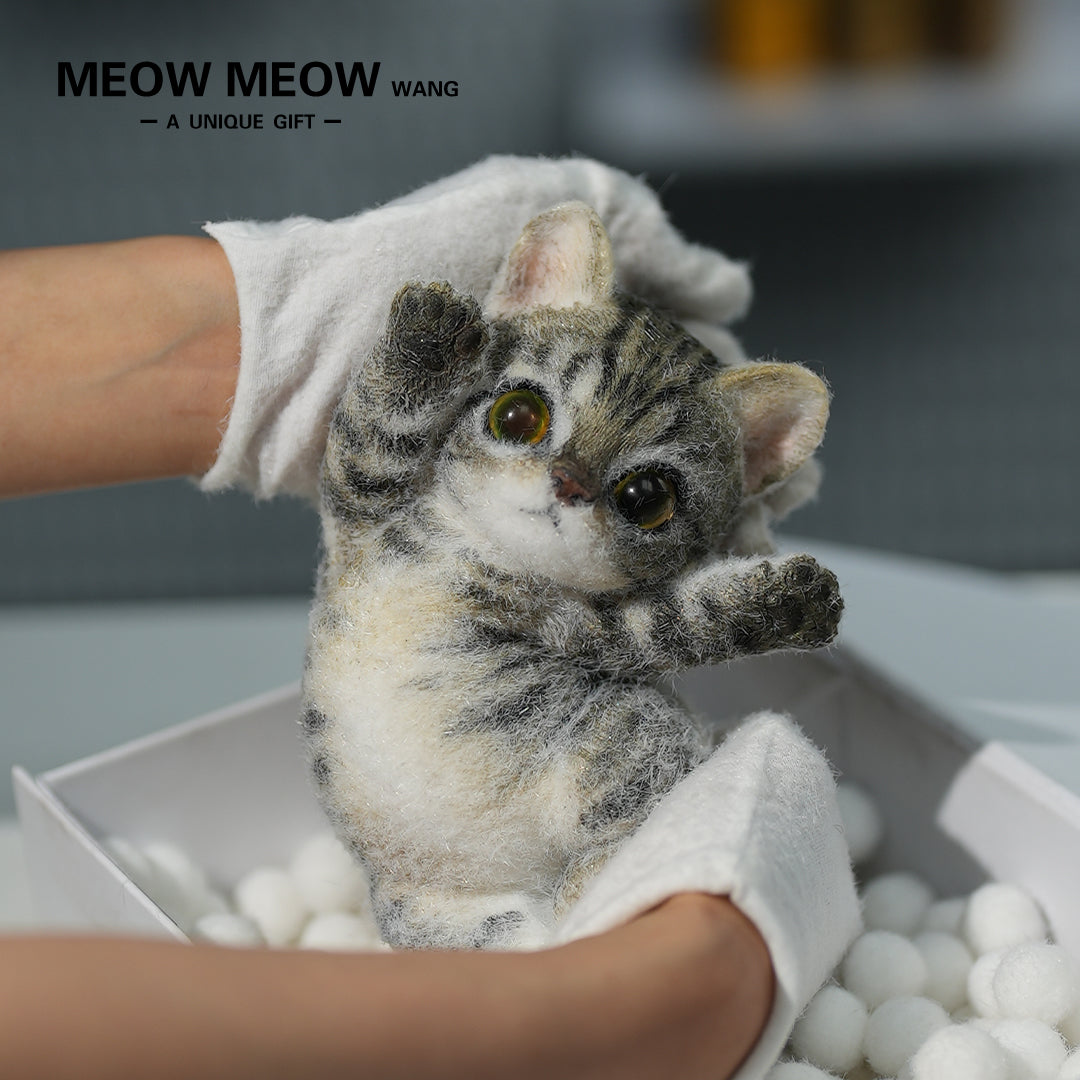 :Handsome Yellow-Green Eyed Cat