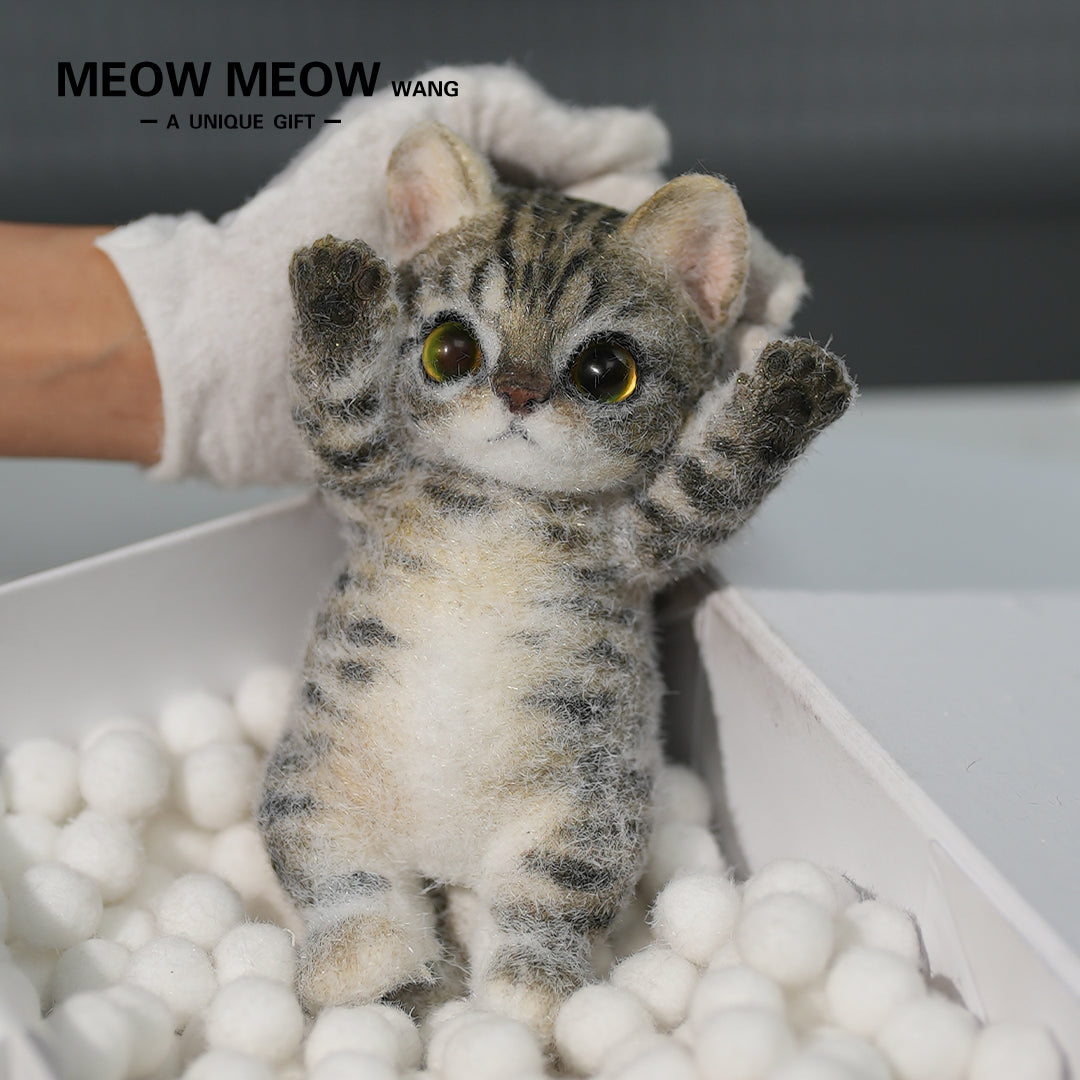 :Handsome Yellow-Green Eyed Cat