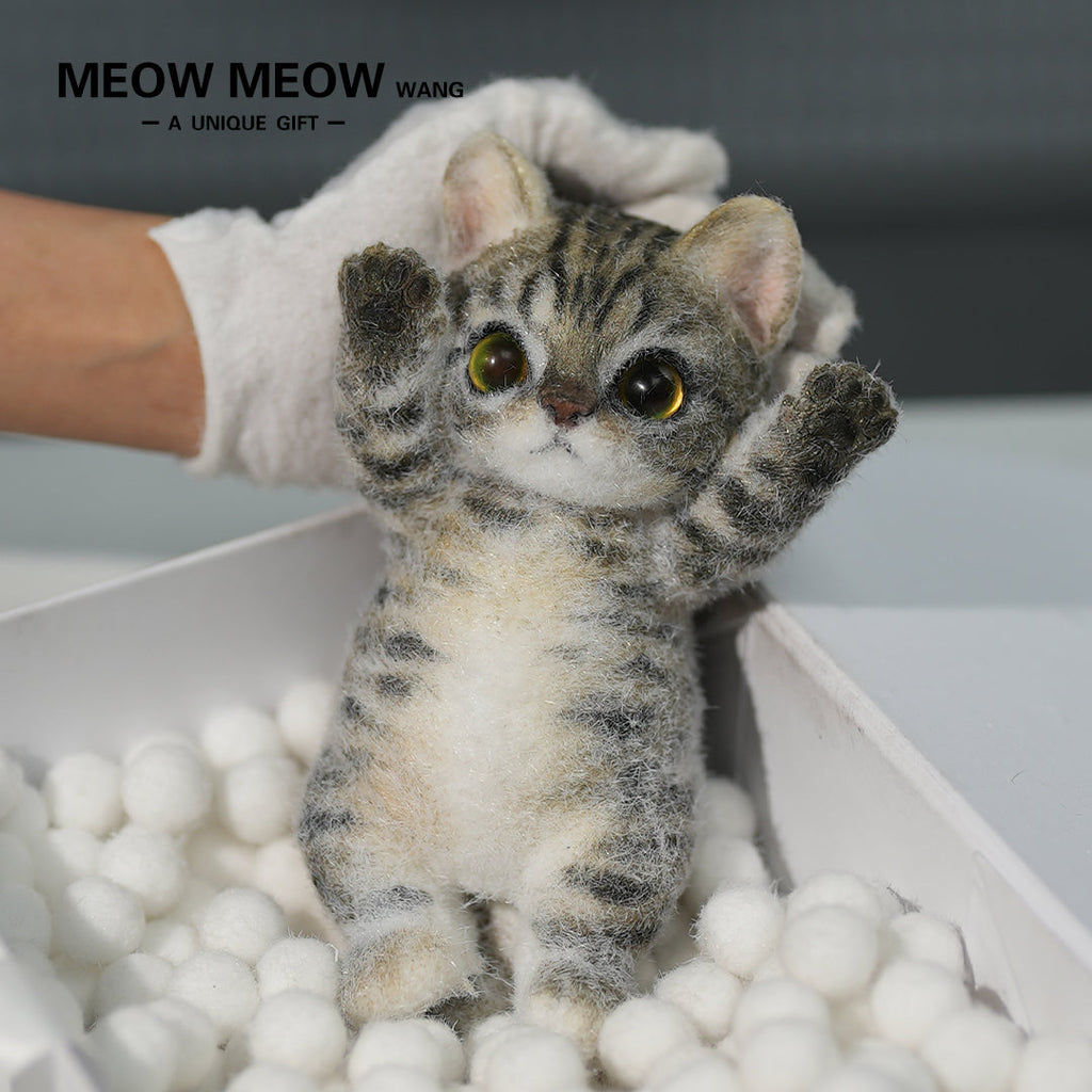:Handsome Yellow-Green Eyed Cat