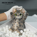 Super Special King Leo Slim Kitty