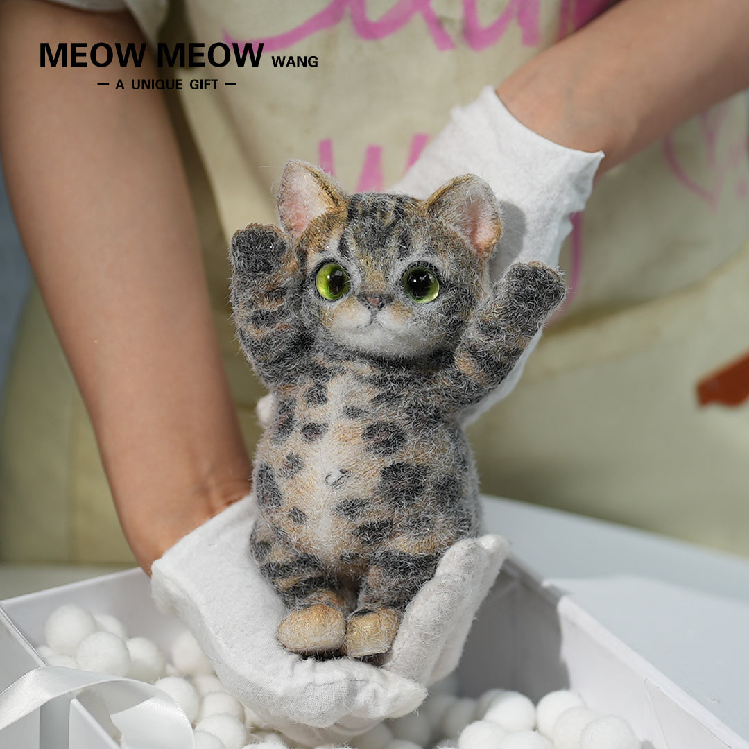 Super Special King Leo Slim Kitty