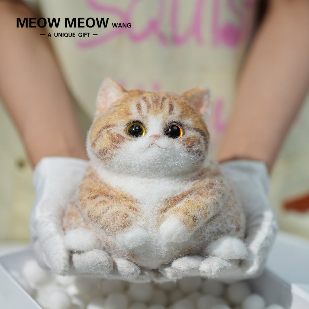 Super Cute Fluffy Orange Cat