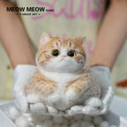 Super Cute Fluffy Orange Cat