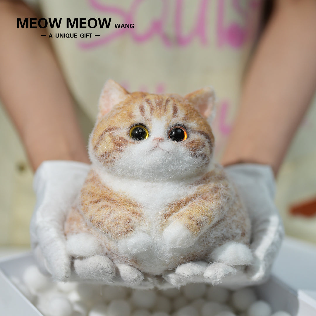 Super Cute Fluffy Orange Cat