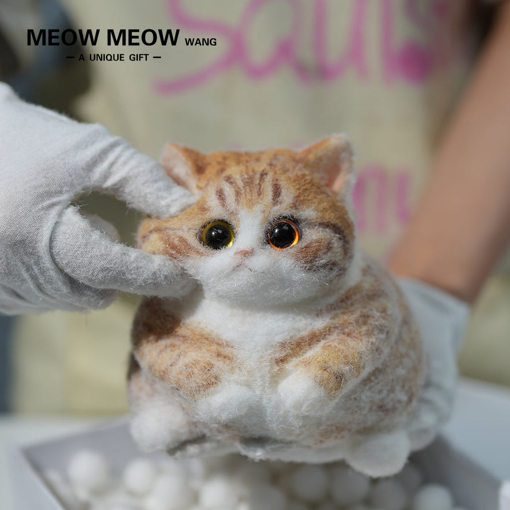 Super Cute Fluffy Orange Cat