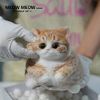 Super Cute Fluffy Orange Cat