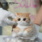 Super Cute Fluffy Orange Cat