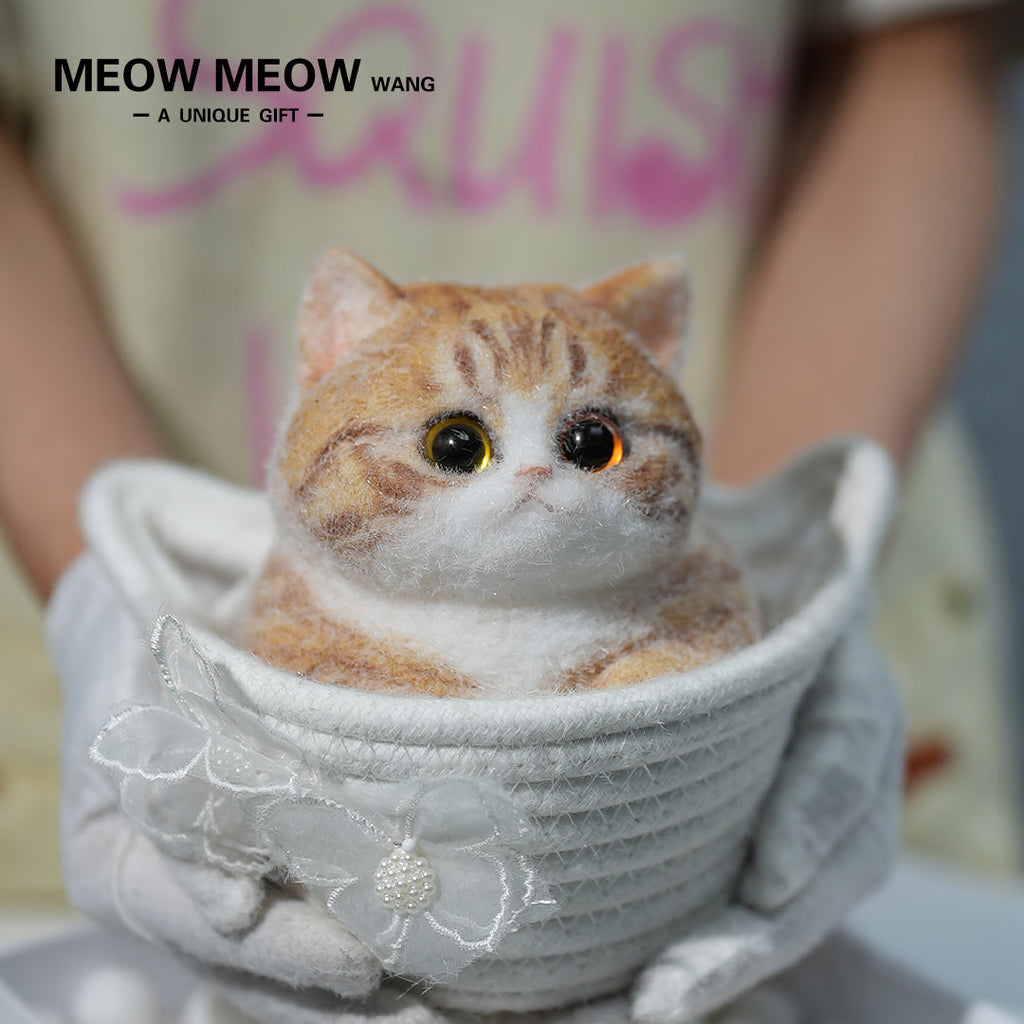 Super Cute Fluffy Orange Cat