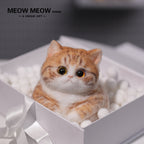 Super Cute Fluffy Orange Cat