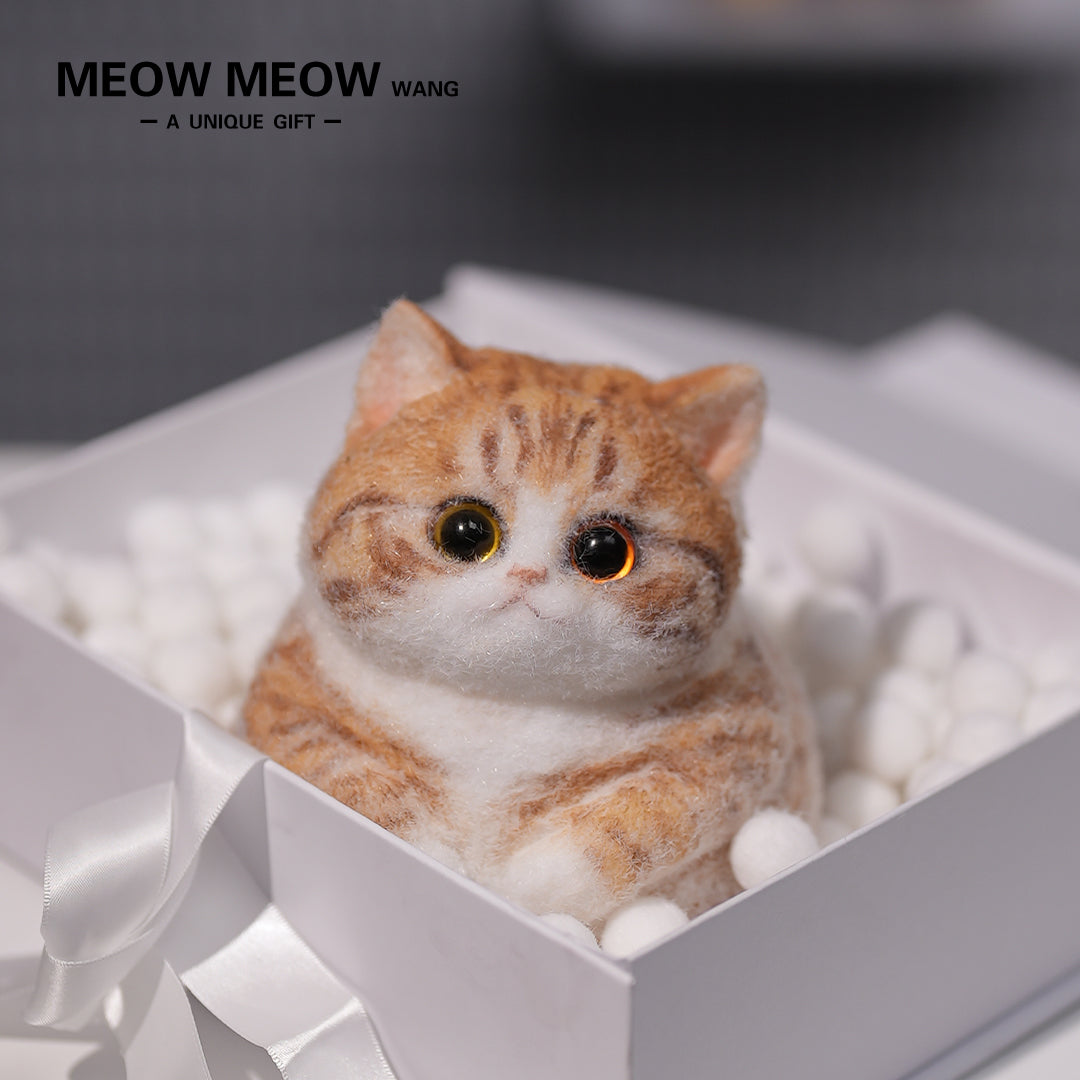 Super Cute Fluffy Orange Cat