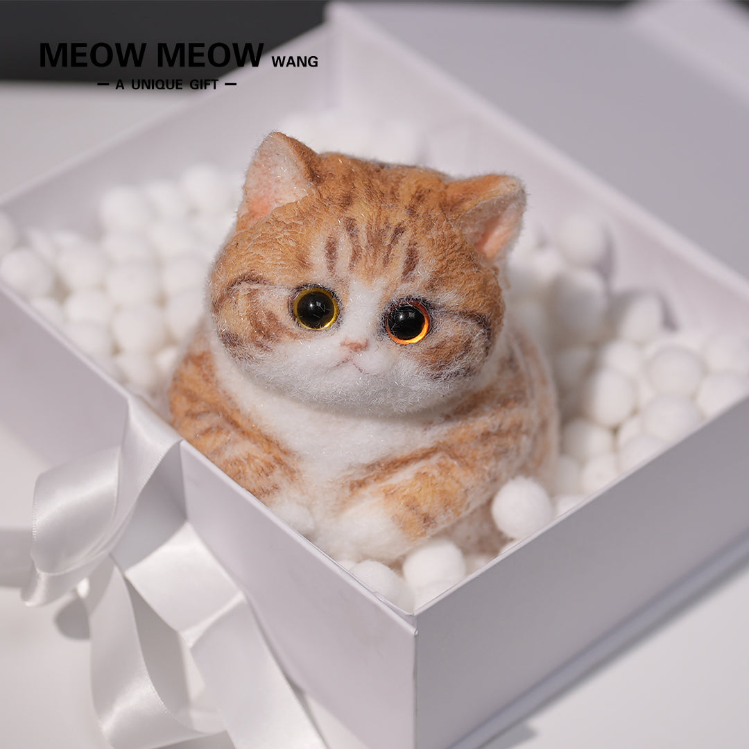 Super Cute Fluffy Orange Cat
