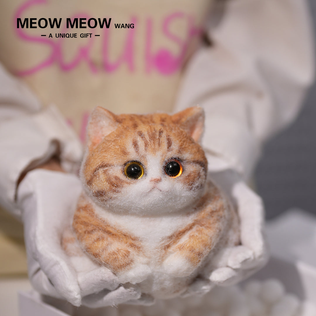 Super Cute Fluffy Orange Cat