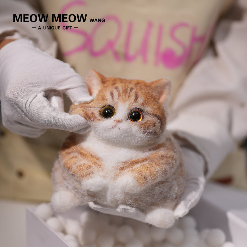 Super Cute Fluffy Orange Cat