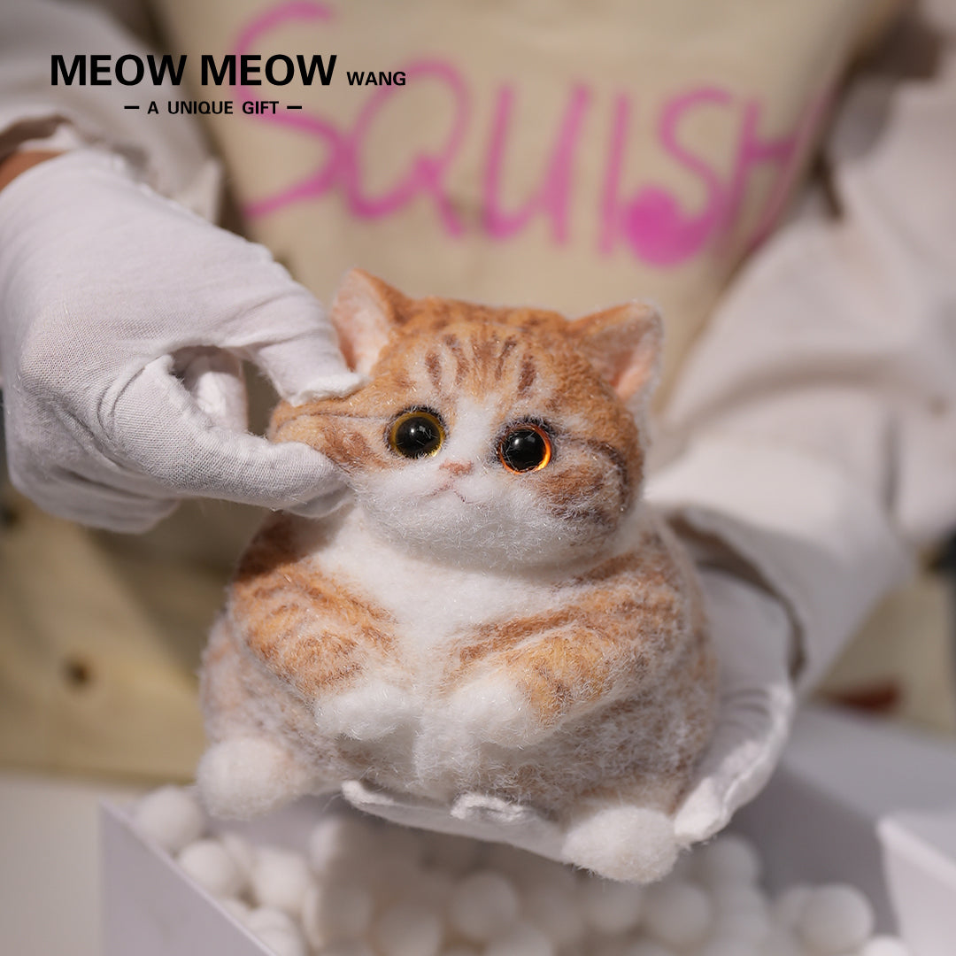 Super Cute Fluffy Orange Cat