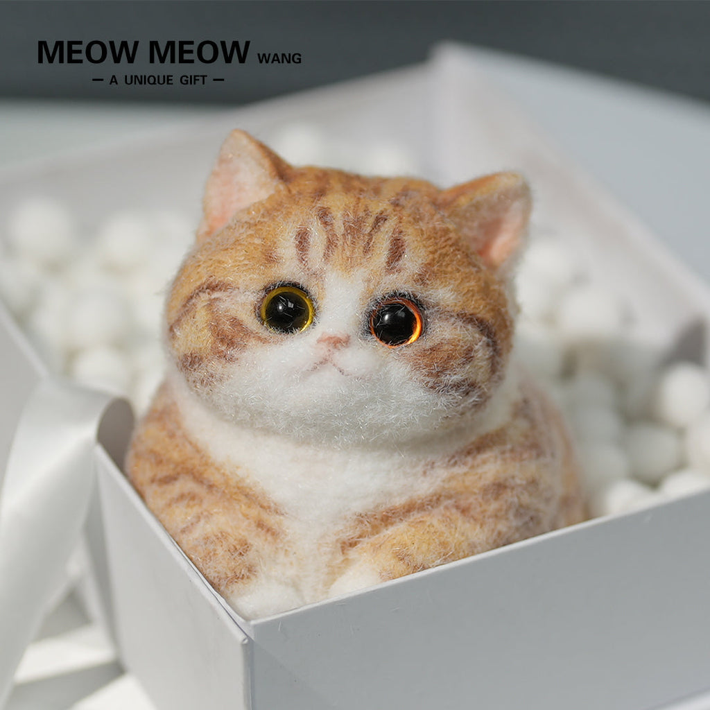 Super Cute Fluffy Orange Cat