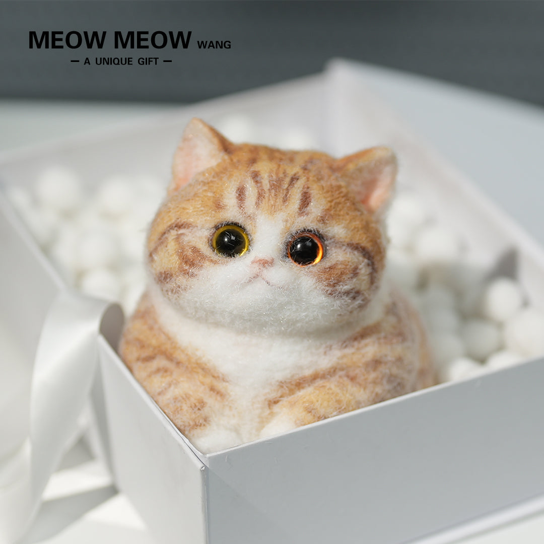 Super Cute Fluffy Orange Cat