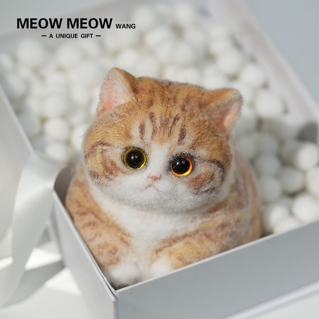Super Cute Fluffy Orange Cat