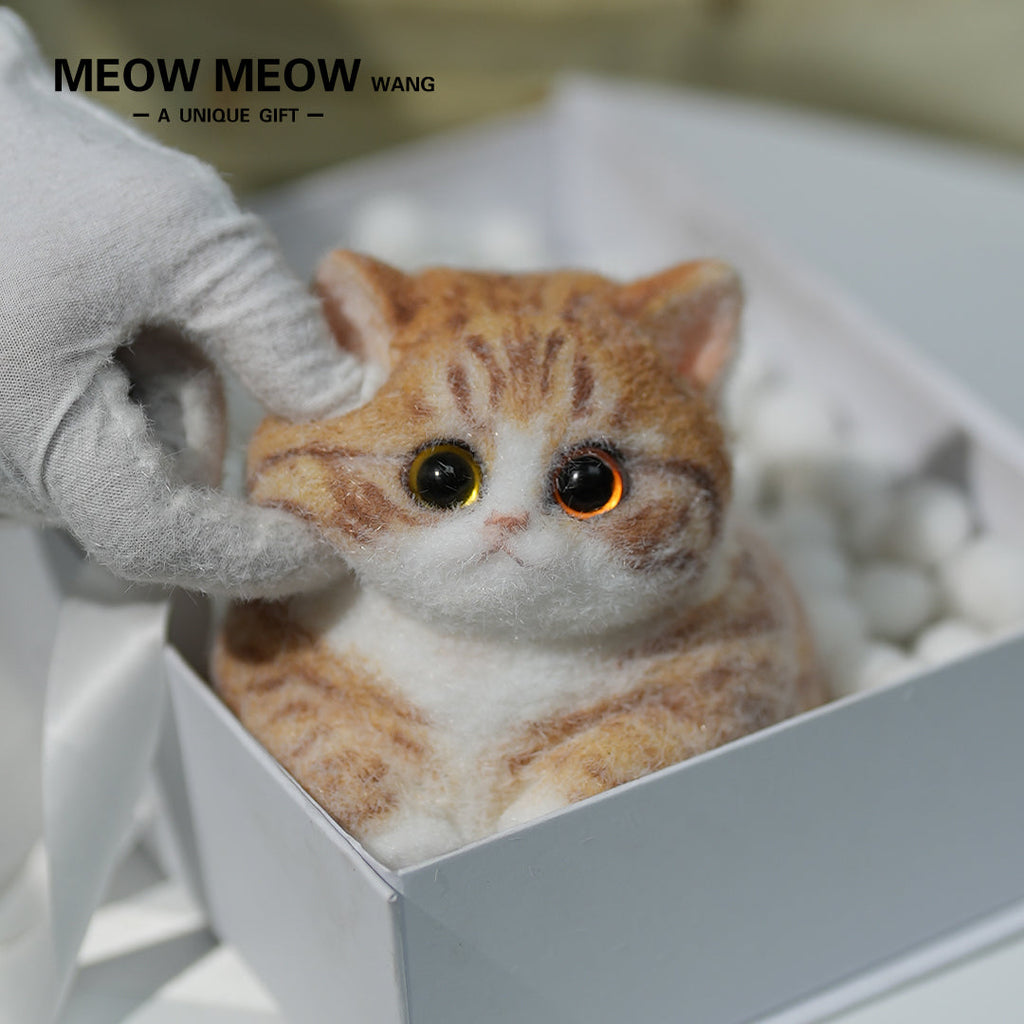 Super Cute Fluffy Orange Cat